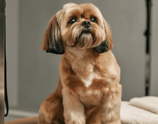 Укажите название услуги или специального предложения